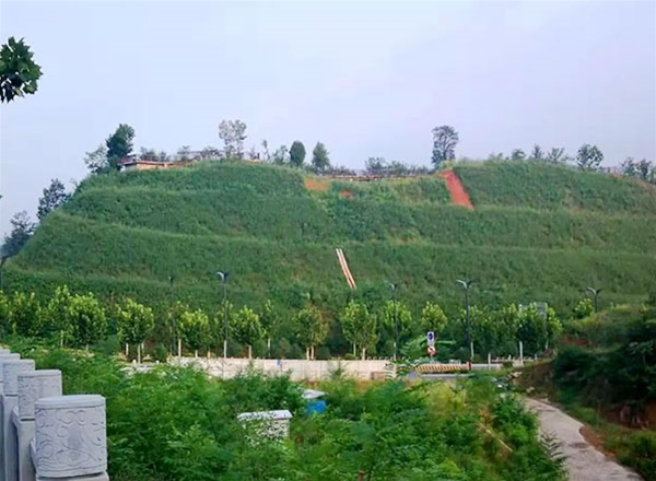 高陡邊坡專(zhuān)用毯